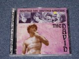 画像: THE DAVID - ANOTHER DAY, ANOTHER LOIFETIME /  2001 US Brand New CD