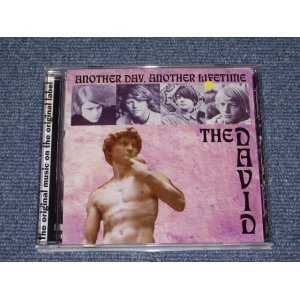 画像: THE DAVID - ANOTHER DAY, ANOTHER LOIFETIME /  2001 US Brand New CD