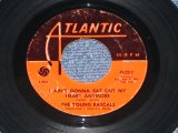 画像: THE YOUNG RASCALS  - I AIN'T GONNA EAT OUT MY HEART ANYMRE 8 Debut Single ) / 1965 US ORIGINAL 7"45 Single