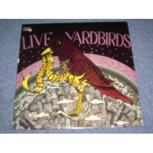 画像: THE YARDBIRDS - LIVE! YARDBIRDS FEATURING JIMMY PAGE  / 1971 US  ORIGINAL LP