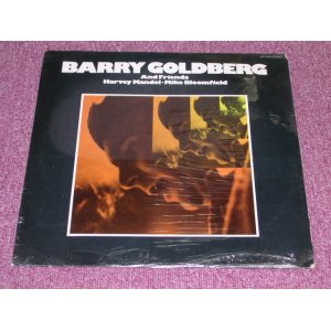 画像: BARRY GOLDBERG - BARRY GOLDBERG / US ORIGINAL Sealed LP RECORD MAN  CR-5105 