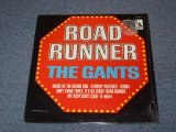 画像: THE GANTS - ROAD RUNNER / 1965 US ORIGINAL MONO LP 