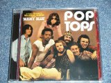 画像: POP TOPS - MAMY BLUE ( ORIGINAL ALBUM + BONUS ) / 2008 FRANCE  Brand New Sealed CD 