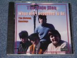 画像: THE MOJO MEN  - WHYS AIN'T SUPPOSED TO BE / 1995  US SEALED NEW CD