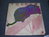 画像: POSSUM ( With RY COODER ) -  POSSUM  /  1970s US ORIGINAL LP