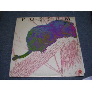 画像: POSSUM ( With RY COODER ) -  POSSUM  /  1970s US ORIGINAL LP