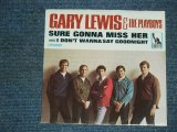 画像: GARY LEWIS & THE PLAYBOYS - SURE GONNA MISS HER ( Ex++/Ex++ ) /1966  US ORIGINAL 7"SINGLE + PICTURE SLEEVE 