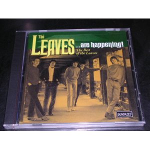 画像: THE LEAVES - ARE HAPPENING!  THE BEST OF  / 2000 US SEALED CD 