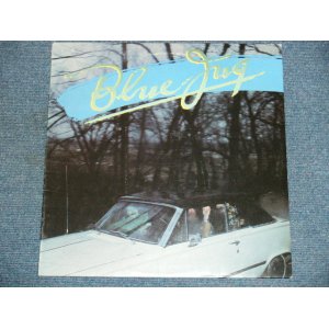 画像: BLUE JUG BAND - BLUE JUG  / 1978 US ORIGINAL Used  LP 