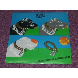 画像: STRAY DOG - WHILE YOU'RE DOWN THERE　/ 1974 US ORIGINAL SEALED LP