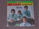 画像: YOUNG RASCALS -THE YOUNG RASCALS / 1970s US SEALED  LP 