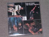 画像: YOUNG RASCALS - COLLECTION  / 1966 US ORIGINAL PURPLE&BROWN LABEL LP 