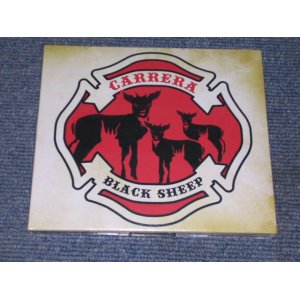 画像: CARRERA - BLACK SHEEP / 2007 HOLLAND SEALED CD 