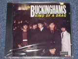 画像: THE BUCKINGHAMS - KIND OF A DARG    / 1998 US SEALED CD