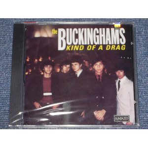 画像: THE BUCKINGHAMS - KIND OF A DARG    / 1998 US SEALED CD