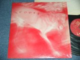 画像: REDDOG - REDDOG  / 1986 US ORIGINAL Used LP from INDEPENDENT Label 