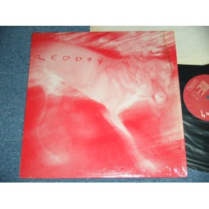 画像: REDDOG - REDDOG  / 1986 US ORIGINAL Used LP from INDEPENDENT Label 