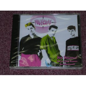 画像: POLECATS - NOT NERVOUS! (PINK BACK SIDE ) RARE 1980 DEMOS RE-MASTERED / 2006 UK SEALED CD  