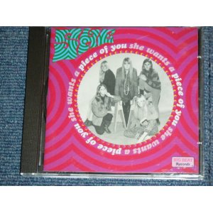 画像: SHE - AHE WANTS A PIECE OF YOU / 1999 UK ORIGINAL Used CD