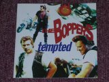 画像: BOPPERS, THE - TEMPTED EU  CD