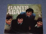 画像: THE GANTS - GANTS AGAIN!   / 1966 US ORIGINAL STEREO LP 