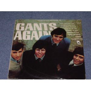 画像: THE GANTS - GANTS AGAIN!   / 1966 US ORIGINAL STEREO LP 