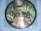 画像: INDEPENTENTS - STALKER ( 10" PICTURE DISC ) / 1997 US ORIGINAL BRAND NEW 10" LP 