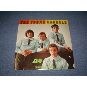 画像: THE YOUNG RASCALS -THE YOUNG RASCALS / 1966 US ORIGINAL 'RED & PRUPLE Label' MONO  LP 