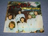 画像: TONY'S TYGERS - LITTLE BY LITTLE / 1968  US ORIGINAL LP 