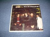 画像: THE BUCKINGHAMS - KIND OF A DRAG / 1967 US ORIGINAL MONO LP 