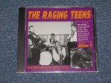 画像: va OMNIBUS - THE RAGING TEENS VOL.4 WILD NEW ENGLAND ROVK 'N' R4OLL VOL.4    / 1998 US  Brand New SEALED  CD 