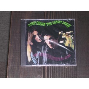 画像: THE LEATHERCOATED MINDS - A TRIP DOWN THE SUNSET STRIP /2006 US SEALED NEW CD