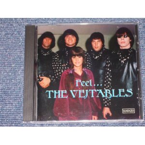 画像: THE VEJTABLES  - FEEL ... /1995 US SEALED CD