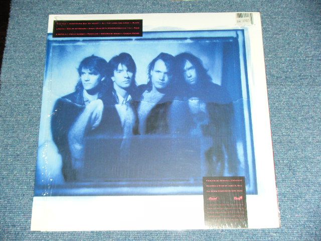 画像: THE THIEVES - SEDUCED BY MONEY / 1989 US AMERICA  ORIGINAL Used LP