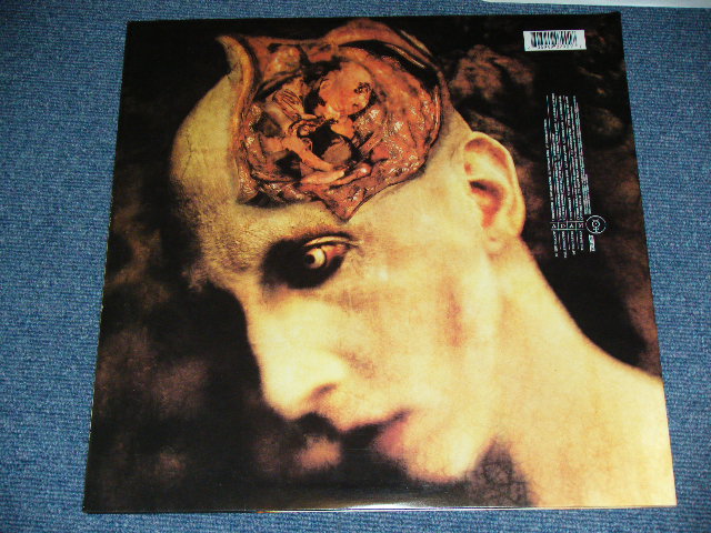 画像: MARILYN MANSON  - HOLLYWOOD / 2000  US ORIGINAL Used 2 LP's