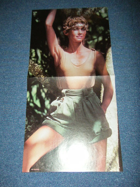 画像: OLIVIA NEWTON-JOHN - PHYSICAL ( With PIN-UP POSTER  : MINT-/MINT- )  /1981 US AMERICA ORIGINAL Used LP With PIN-UP POSTER 