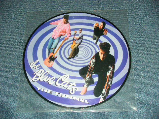 画像1: BLUE CATS - THE TUNNEL ( PICTURE DISC )  / 2001  GERMAN GERMANY "BRAND NEW" LP 