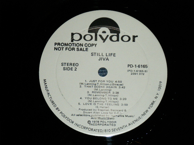 画像: JIVA -STILL LIFE ( Ex/MINT- )   / 1978 US AMERICA ORIGINAL "WHITE LABEL PROMO" Used  LP 