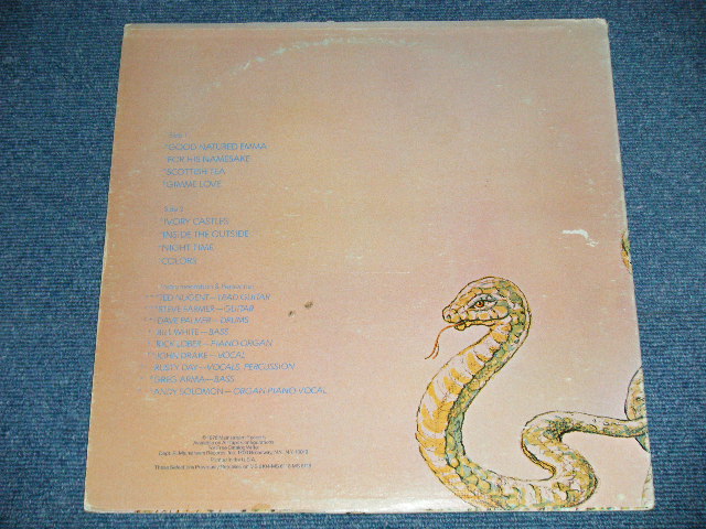 画像: TED NUGENT and The AMBOY DUKES - TED NUGENT and The AMBOY DUKES ( VG+++/Ex++ )  / 1976  US AMERICA  ORIGINAL  Used  LP 