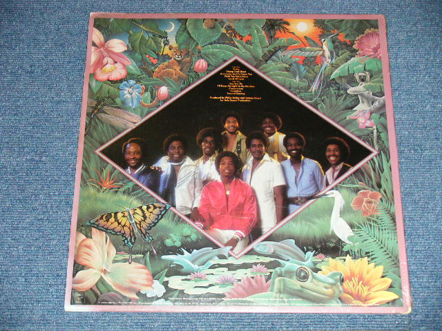 画像: FREE LIFE - FREE LIFE ( MINT-/Ex++  Looks:Ex ) /  1978  US AMERICA ORIGINAL Used LP 