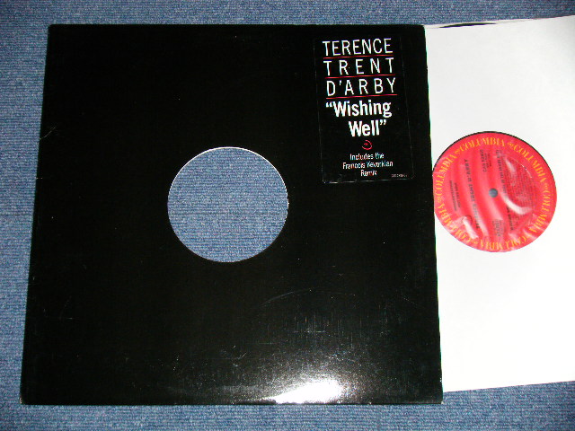 画像: TERENCE TRENT D'ARBY - WISHING WELL  ( Ex+++/MINT-)  / 1987 US AMERICA ORIGINAL "PROMO ONLY" Used 12" 