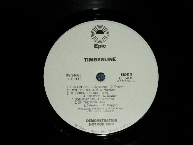 画像: TIMBER LINE - THE GREAT TIMBER RUSH  ( Ex+/MINT- ) / 1977 US AMERICA ORIGINAL "WHITE LABEL PROMO" Used LP 