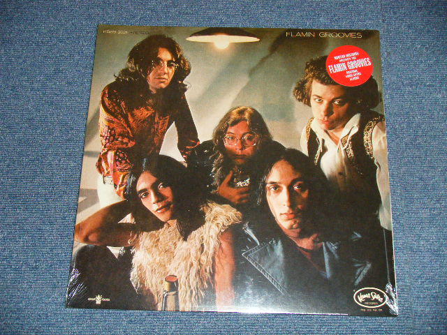 画像1: FLAMIN' GROOVIES - FLAMIN' GROOVIES  (SEALED)  / US AMERICA REISSUE "Brand New SEALED" LP