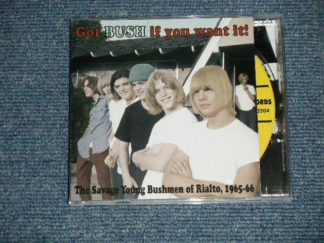 画像1: The BUSH - IF YOU WANT IT : THE SAVAGE YOUNG BUSHMEN OF RIALTO, 1964-66  (MINT/MINT)   / 2006 US AMERICA  ORIGINAL Used CD