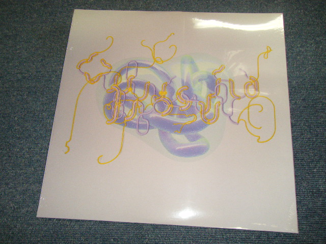 画像1: BJORK Björk (THE SUGARCUBES ) - FAMILY (With DOWN LORD) (SEALED)  / 2015 UK ENGLAND ORIGINAL "BRAND NEWSEALED" 12"