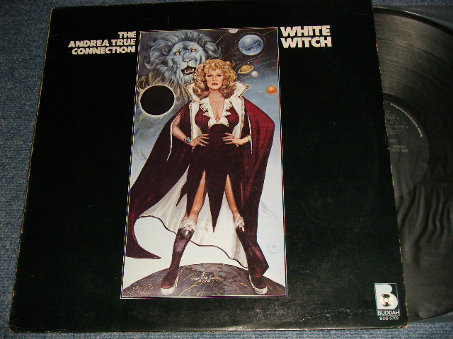 画像1: The ANDREA TRUE CONNECTION - WHITEWITCH (PRODUCED bt MICHAEL ZAGER) (Ex++/Ex+) / 1977 US AMERICA ORIGINAL Used LP