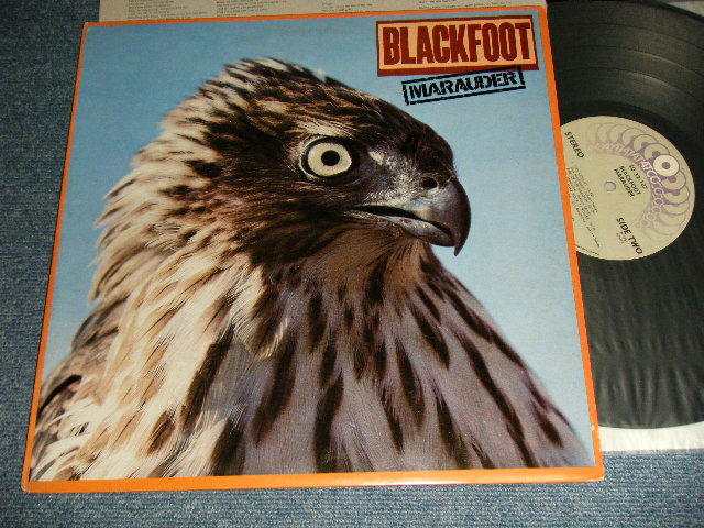 画像1: BLACKFOOT - MARAUDER (With CUSTOM INNER SLEEVE)  (Ex+++/MINT-)  / 1981 US AMERICA ORIGINAL Used LP  