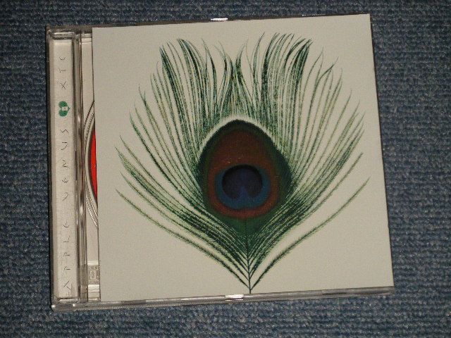 画像1: XTC ‎- APPLE VENUS (MINT-/MINT) / 1999 US AMERICA ORIGINAL Used CD