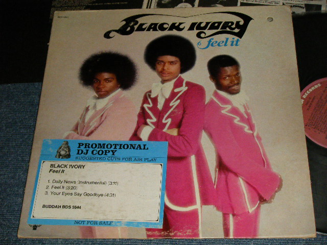 画像1: BLACK IVORY - FEEL IT (Ex+/Ex+ BB. EDSP)   / 1975 US AMERICA ORIGINAL "PROMO" Used LP 