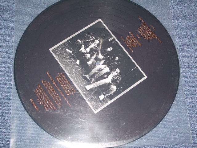 RAMONES - ROAD TO RUIN ( PICTURE DISC ) /LIMITED EDITION Brand New